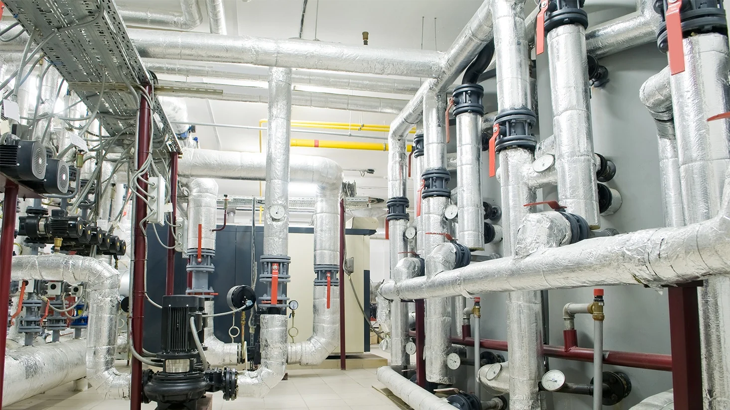 project 1 gallery image 2